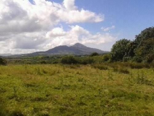 Nephin Lodge Westport Room photo